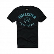 HOLLISTER BIG DUME